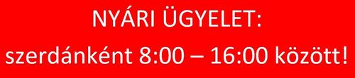 NYÁRI ÜGYELET